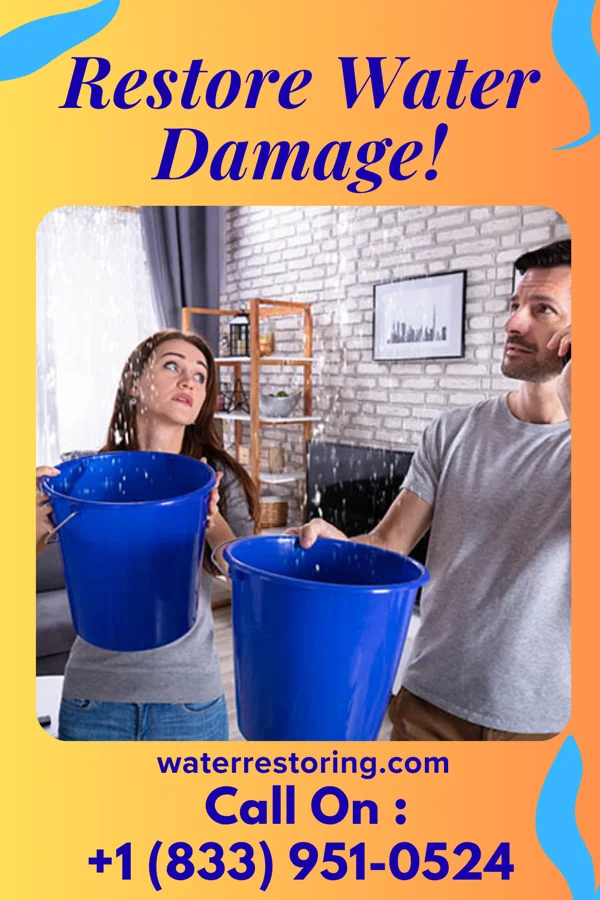 water restoration Sterling Water Solutions Force Moundsville