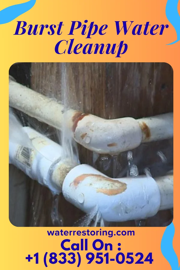 Burst Pipe Water Cleanup in Moundsville, WV