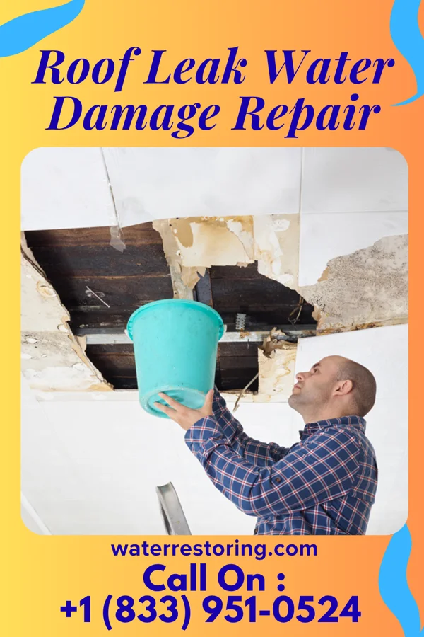 Roof Leak Water Damage Repair in Moundsville, WV