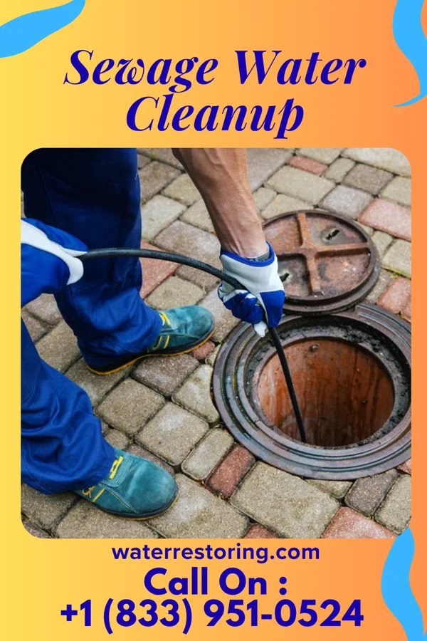 Sewage Water Cleanup in Moundsville, WV