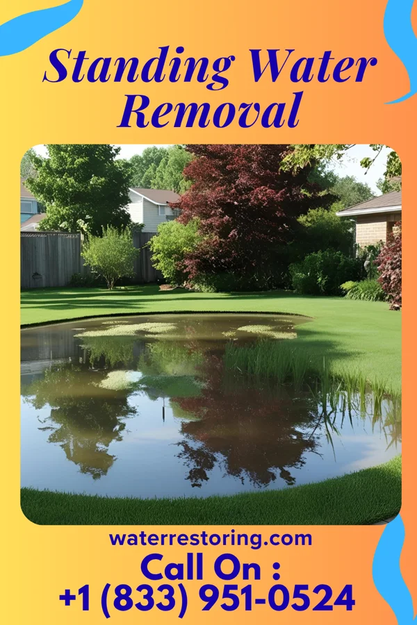 Standing Water Removal in Moundsville, WV